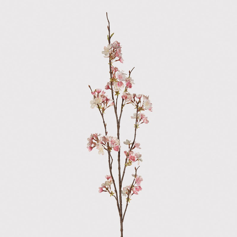 Pink/Cream Cherry Blossom