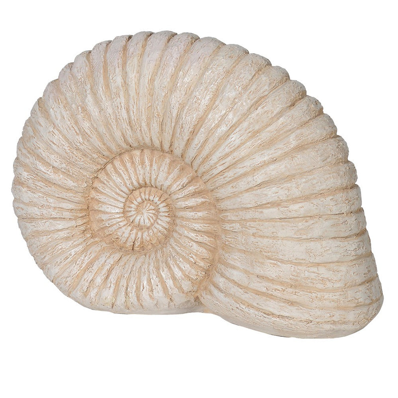 Large Decorative Shell